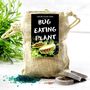 Bug Eating Plant Jute Bag Grow Set, thumbnail 7 of 7