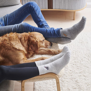 Golden Cocker Spaniel Dog Walking Socks, 5 of 11