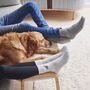 Springer Spaniel Dog Walking Socks, thumbnail 6 of 12