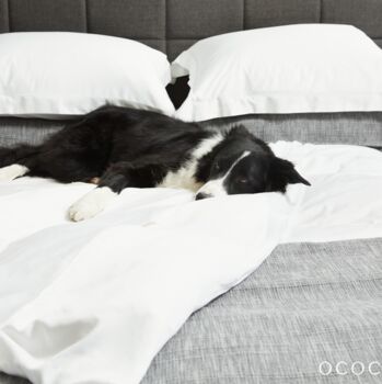 Luxe All Season Mulberry Silk Duvet, 2 of 7