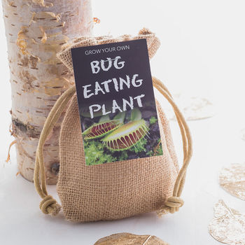 Bug Eating Plant Jute Bag Grow Set, 5 of 7