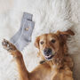 Golden Retriever Dog Walking Socks, thumbnail 9 of 12