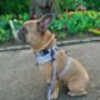 Safari Print Dog Harness Bundle Collar Bow Tie Set, thumbnail 4 of 12