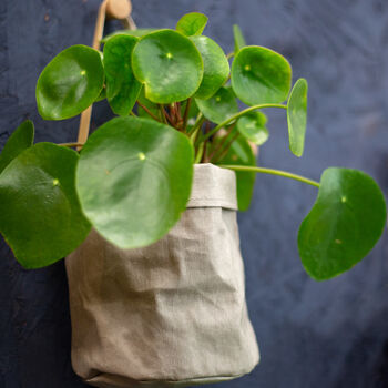 Grey Hanging Paper And Leather Planter Or Storage Bag, 2 of 11