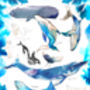 Whales Of The World Art Print, thumbnail 2 of 2