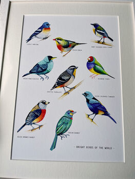 Bright Birds Of The World Illustrated Print, 2 of 6