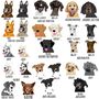 Personalised Dog Walking Set Gift With Backpack, thumbnail 7 of 12