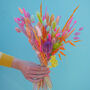 The Sherbert Macaroon Dried Flower Bunch, thumbnail 3 of 11