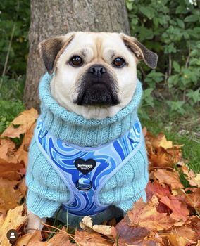 Blue 70s Swirl Pattern Dog Harness, 3 of 8