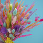 The Sherbert Macaroon Dried Flower Bunch, thumbnail 8 of 11