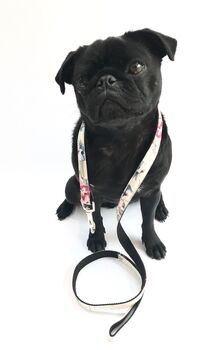 Disley Pink And Blue Floral Dog Lead, 7 of 9